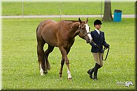 4H-1st-Show-11_0768.jpg