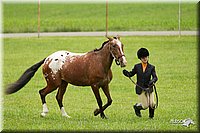 4H-1st-Show-11_0770.jpg