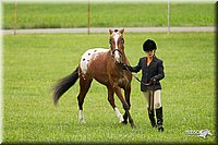 4H-1st-Show-11_0771.jpg
