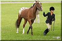 4H-1st-Show-11_0774.jpg