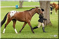 4H-1st-Show-11_0775.jpg