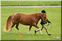 4H-1st-Show-11_0776.jpg