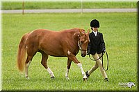 4H-1st-Show-11_0777.jpg