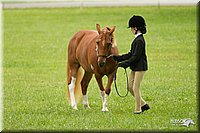 4H-1st-Show-11_0778.jpg