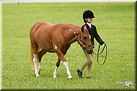 4H-1st-Show-11_0780.jpg