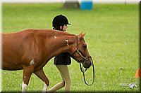 4H-1st-Show-11_0781.jpg