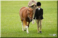 4H-1st-Show-11_0782.jpg