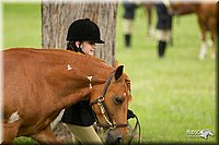 4H-1st-Show-11_0784.jpg