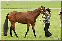 4H-1st-Show-11_0795.jpg