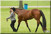4H-1st-Show-11_0797.jpg
