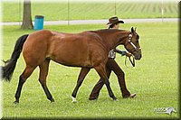 4H-1st-Show-11_0798.jpg