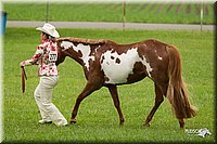 4H-1st-Show-11_0803.jpg