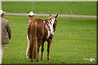 4H-1st-Show-11_0806.jpg