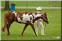 4H-1st-Show-11_0807.jpg