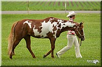 4H-1st-Show-11_0808.jpg