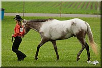 4H-1st-Show-11_0809.jpg