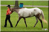 4H-1st-Show-11_0810.jpg