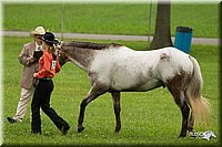 4H-1st-Show-11_0811.jpg
