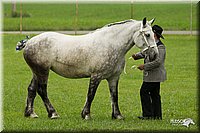 4H-1st-Show-11_0812.jpg