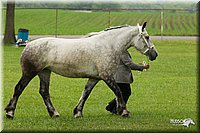 4H-1st-Show-11_0813.jpg