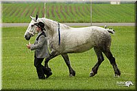 4H-1st-Show-11_0814.jpg