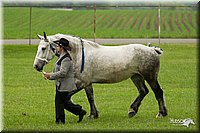 4H-1st-Show-11_0815.jpg