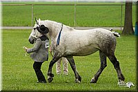 4H-1st-Show-11_0817.jpg