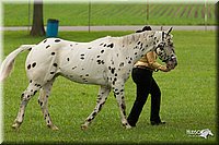 4H-1st-Show-11_0818.jpg