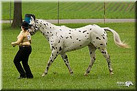 4H-1st-Show-11_0819.jpg