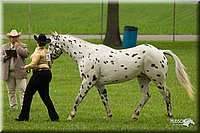 4H-1st-Show-11_0820.jpg