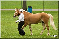 4H-1st-Show-11_0821.jpg