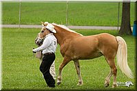 4H-1st-Show-11_0822.jpg