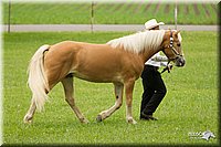 4H-1st-Show-11_0824.jpg