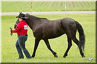 4H-1st-Show-11_0825.jpg
