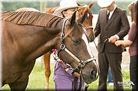 4H-1st-Show-11_0828.jpg