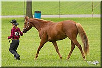 4H-1st-Show-11_0831.jpg