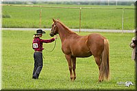 4H-1st-Show-11_0834.jpg