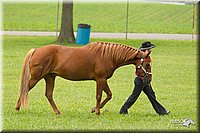 4H-1st-Show-11_0835.jpg