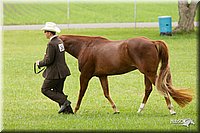 4H-1st-Show-11_0847.jpg