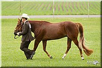 4H-1st-Show-11_0848.jpg