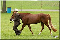 4H-1st-Show-11_0849.jpg