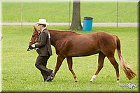 4H-1st-Show-11_0850.jpg