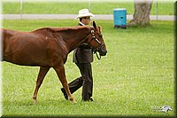 4H-1st-Show-11_0851.jpg