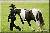 4H-1st-Show-11_0854.jpg