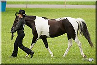 4H-1st-Show-11_0855.jpg