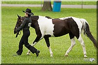 4H-1st-Show-11_0856.jpg