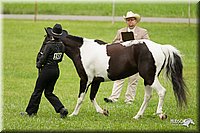4H-1st-Show-11_0857.jpg