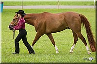 4H-1st-Show-11_0858.jpg