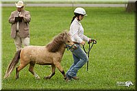 4H-1st-Show-11_0865.jpg