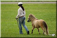 4H-1st-Show-11_0867.jpg